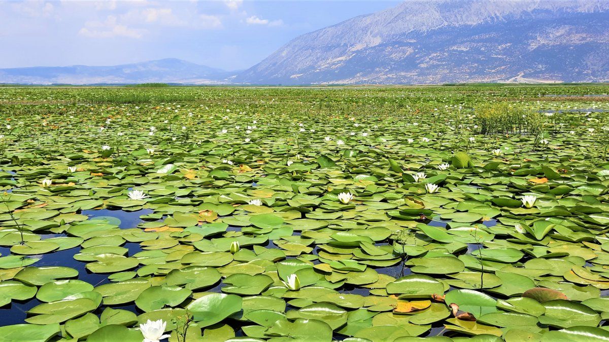 Çivril Işıklı Ovası Doğa Fotoğrafçılığı