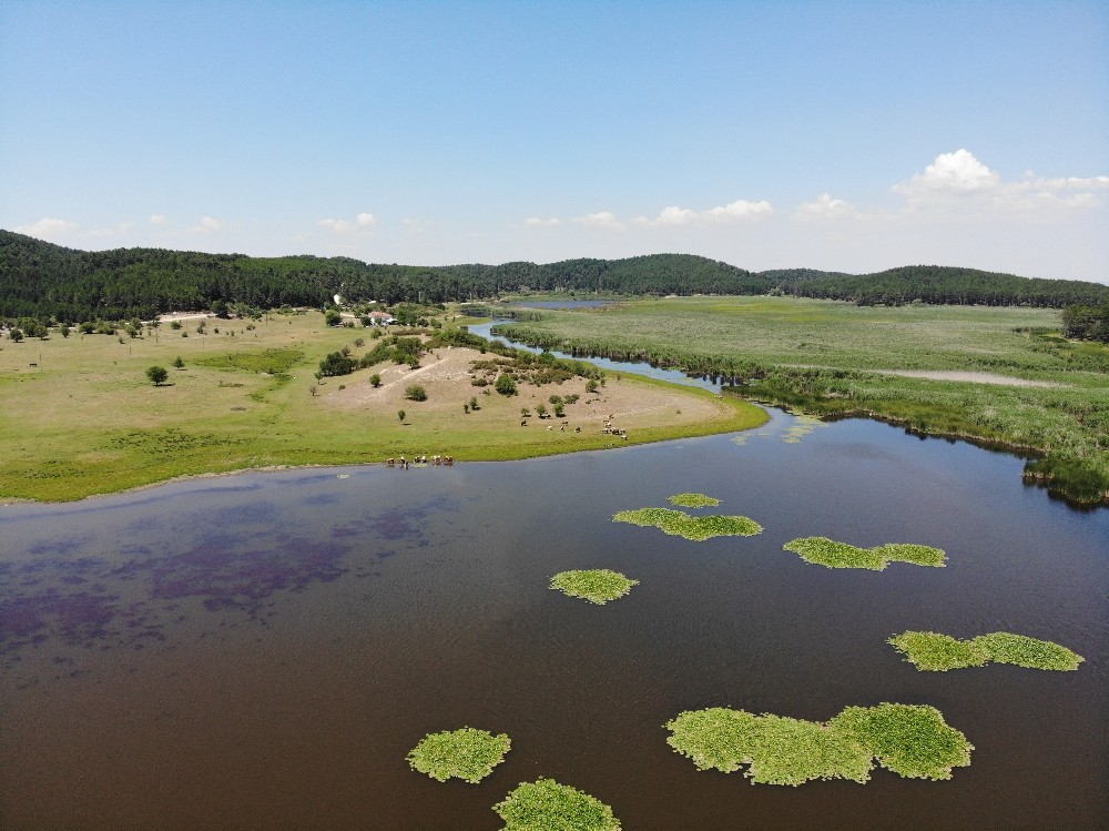 Buldan Yaylaları ve Doğa Yürüyüşleri