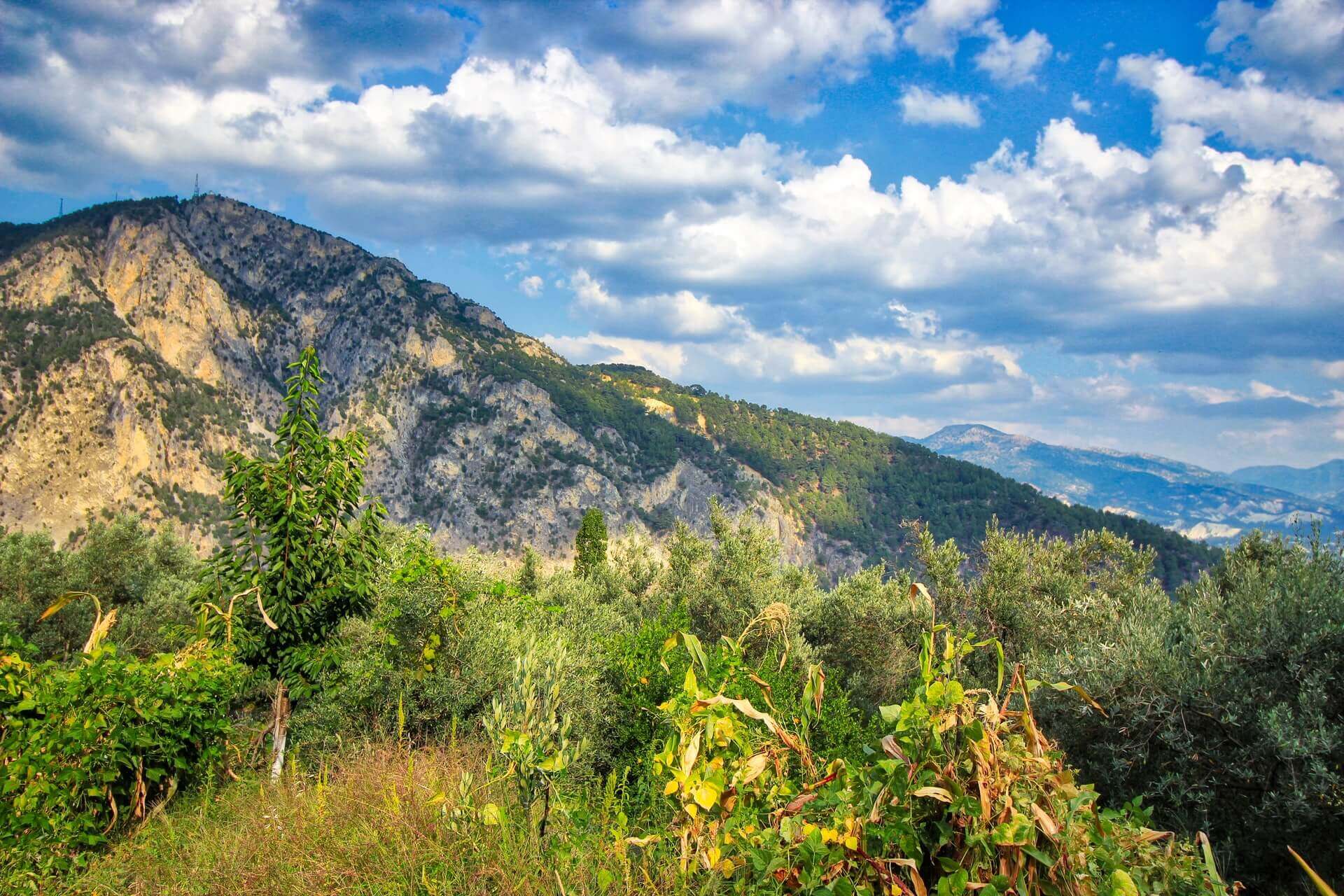 Honaz Dağı Milli Parkı Kamp ve Yürüyüş