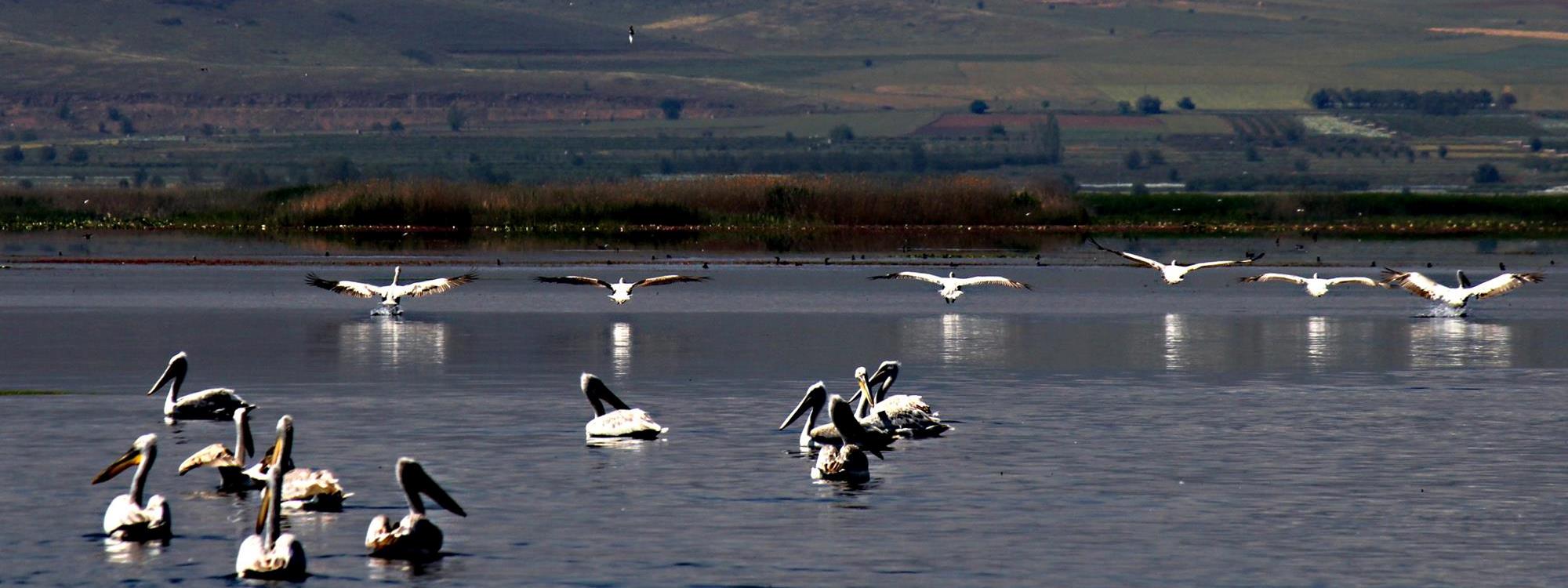 Işıklı Gölü Kuş Gözlemciliği ve Doğa