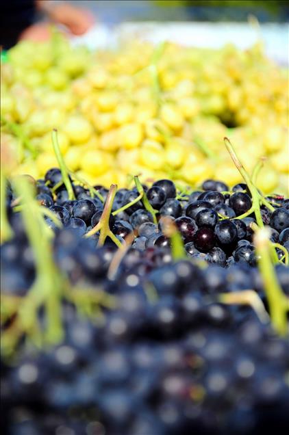 Çal Karası Üzümünden Pekmez